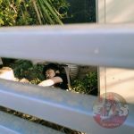 又自杀!韩国男子在金边一大楼坠亡-彩金论坛-白菜社区-白菜论坛